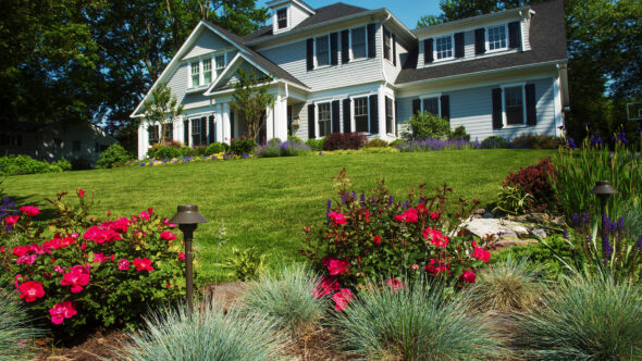 Award-Winning Front Yard Plantings