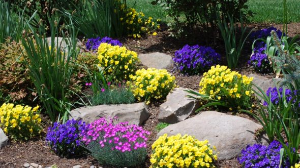 Bethesda Family Resort Plantings