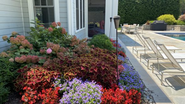 Bethesda Family Resort Plantings