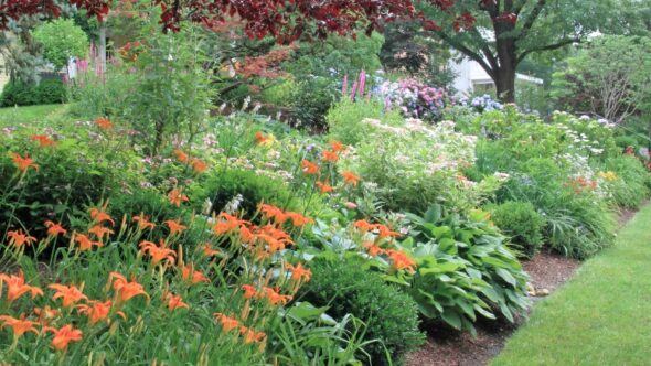 Perfectly cut garden beds and green grass