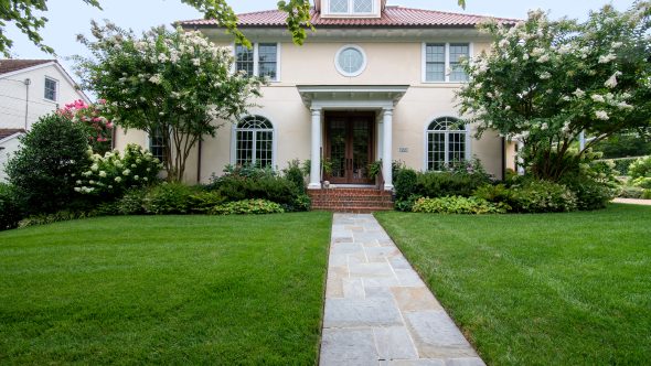 Woodbine Plantings and Stone Pathway