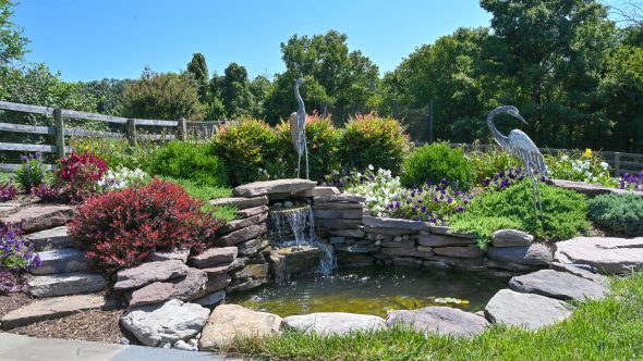 A Lovely Pastoral Setting Plantings